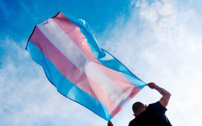 1 de 1 Bandeira trans