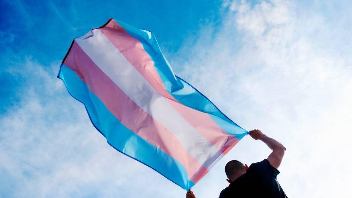 1 de 1 Bandeira trans