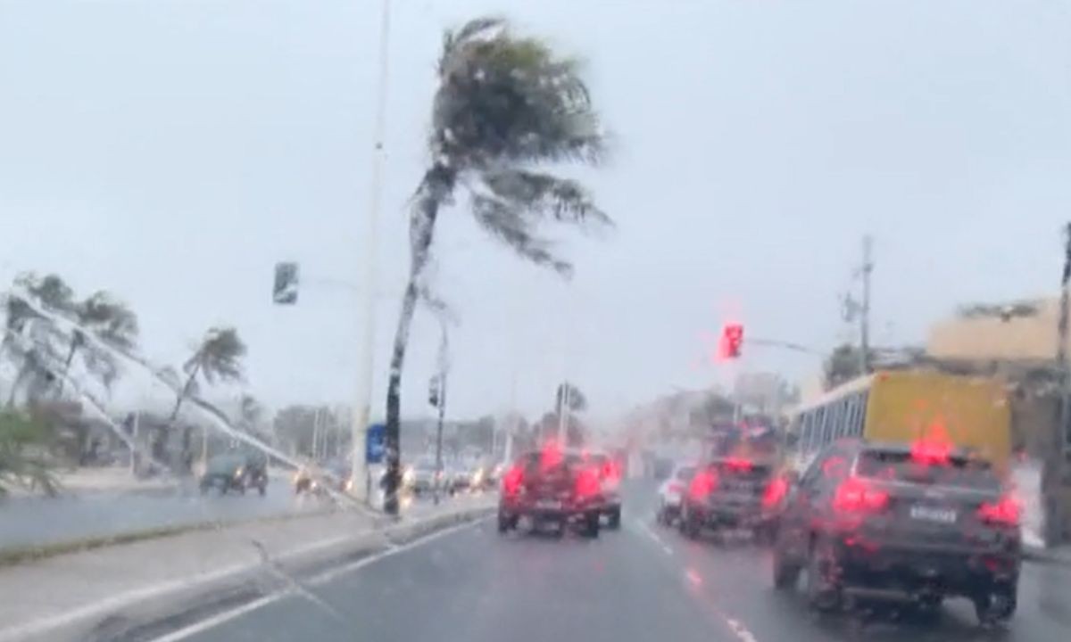 1 de 1 Inmet emite alerta de tempestade para quase 200 cidades da Bahia