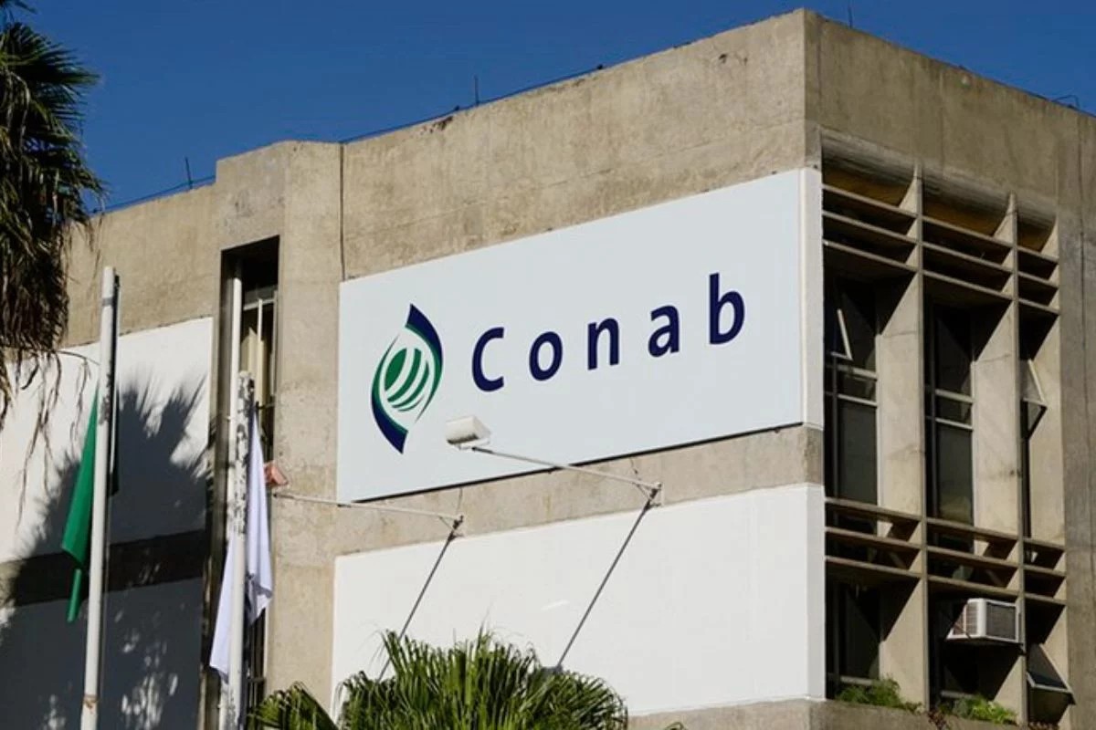 1 de 1 Concurso da Companhia Nacional de Abastecimento (Conab) terá 403 vagas em diferentes estados do país.