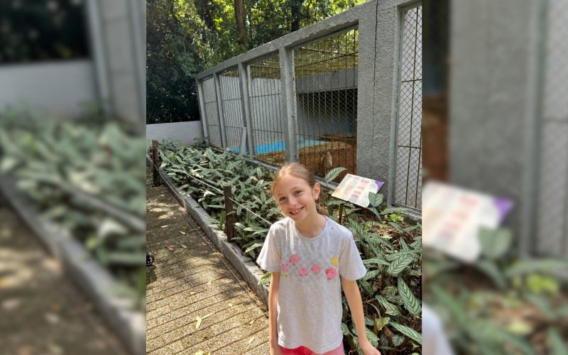 1 de 4 Aurora Bianco Serra no zoológico municipal de Garça visitando os filhotes de onça-parda. A menina de 8 ano que sugeriu os nomes Café e Cacau