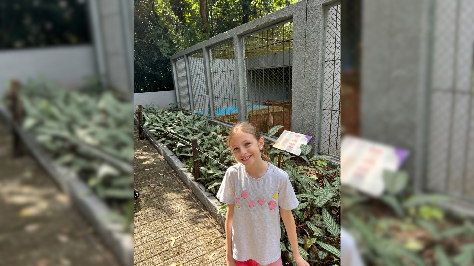 1 de 4 Aurora Bianco Serra no zoológico municipal de Garça visitando os filhotes de onça-parda. A menina de 8 ano que sugeriu os nomes Café e Cacau