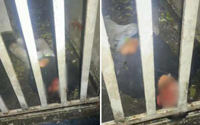 1 de 1 Homem sofre descarga elétrica ao furtar fiação em Santos