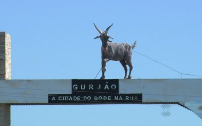1 de 2 Gurjão, a cidade do Bode na Rua, no Cariri da Paraíba
