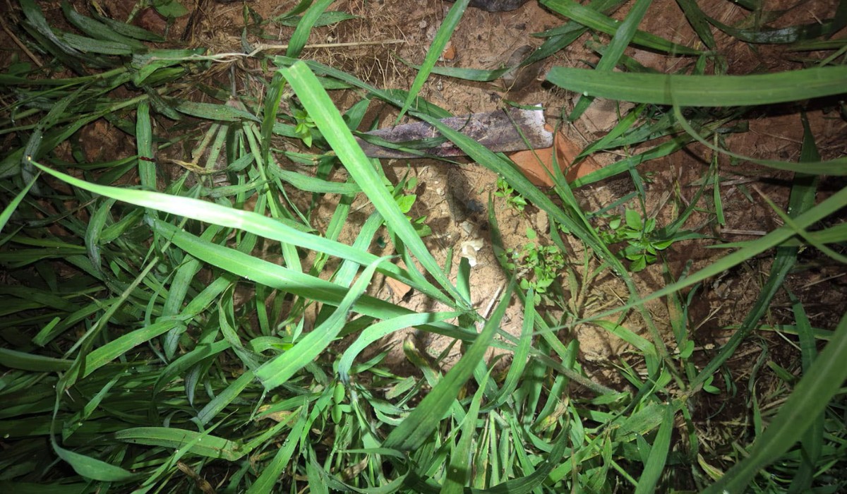 1 de 2 Homem morre após ser esfaqueado em via pública em Presidente Venceslau (SP)