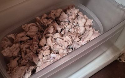1 de 2 Homem é multado por matar jacaré e armazenar 4,7 kg de carne em geladeira em Mirassolândia (SP)