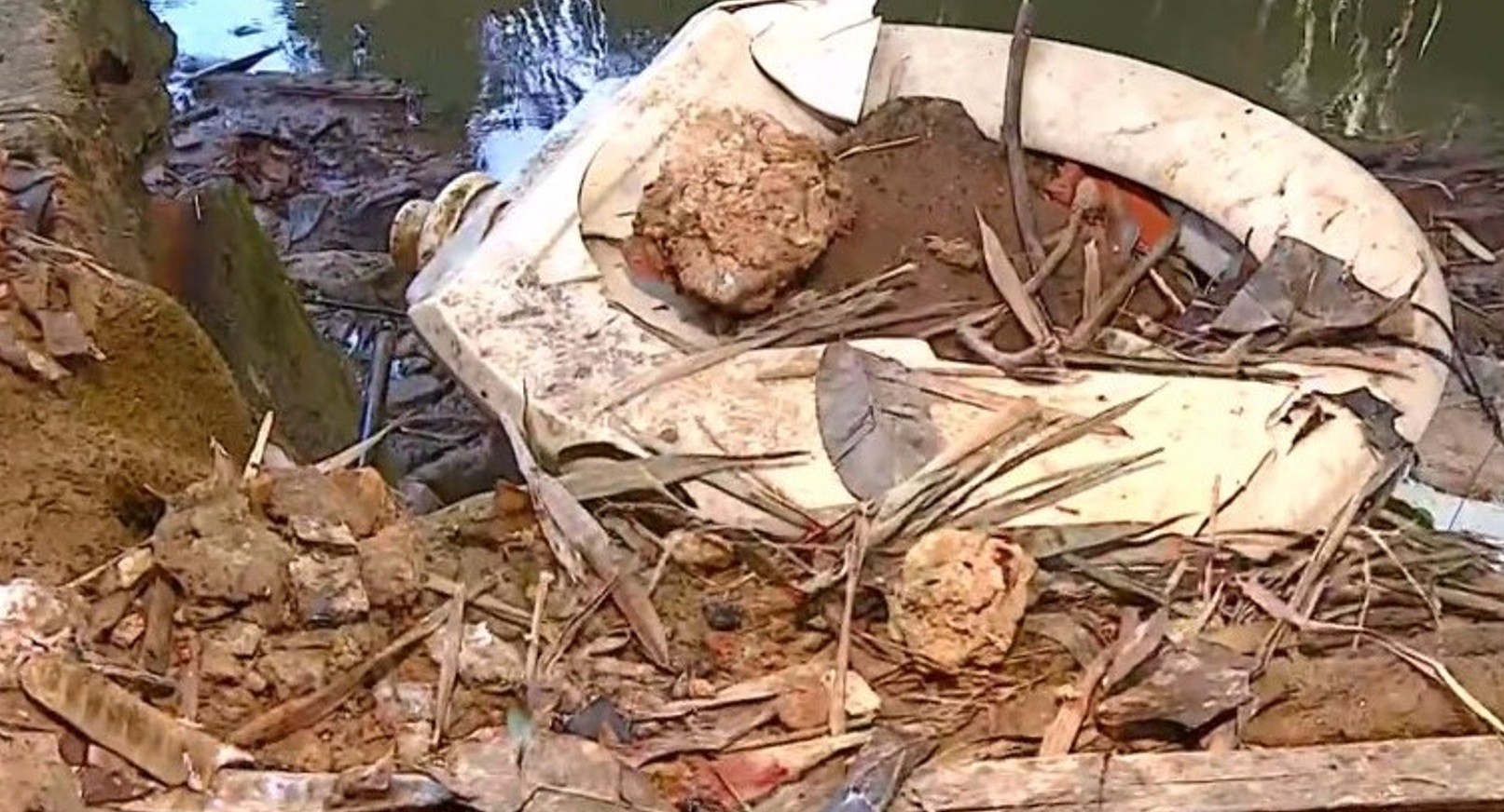 1 de 1 Bebê recém-nascido é encontrado em área de descarte irregular de lixo em Cosmópolis