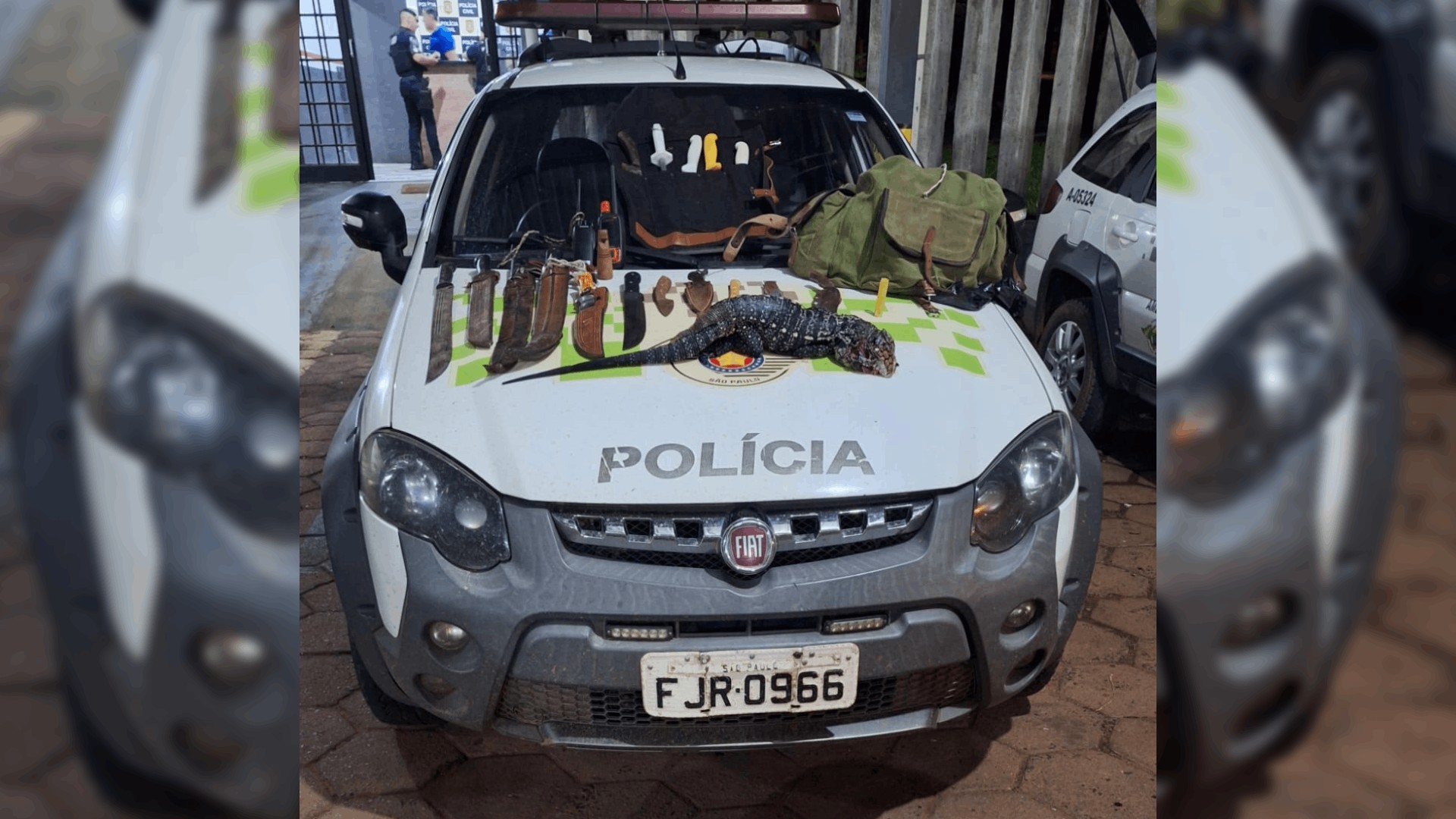 1 de 1 Dupla é multada em R$ 1 mil por caça ilegal e polícia apreende cães com GPS e animais mortos em Bofete