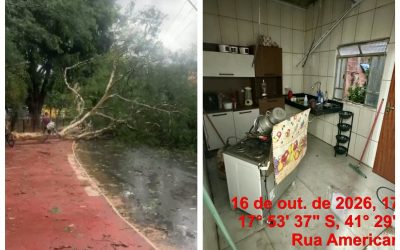 1 de 2 Temporal causou queda de árvore e danificou casas