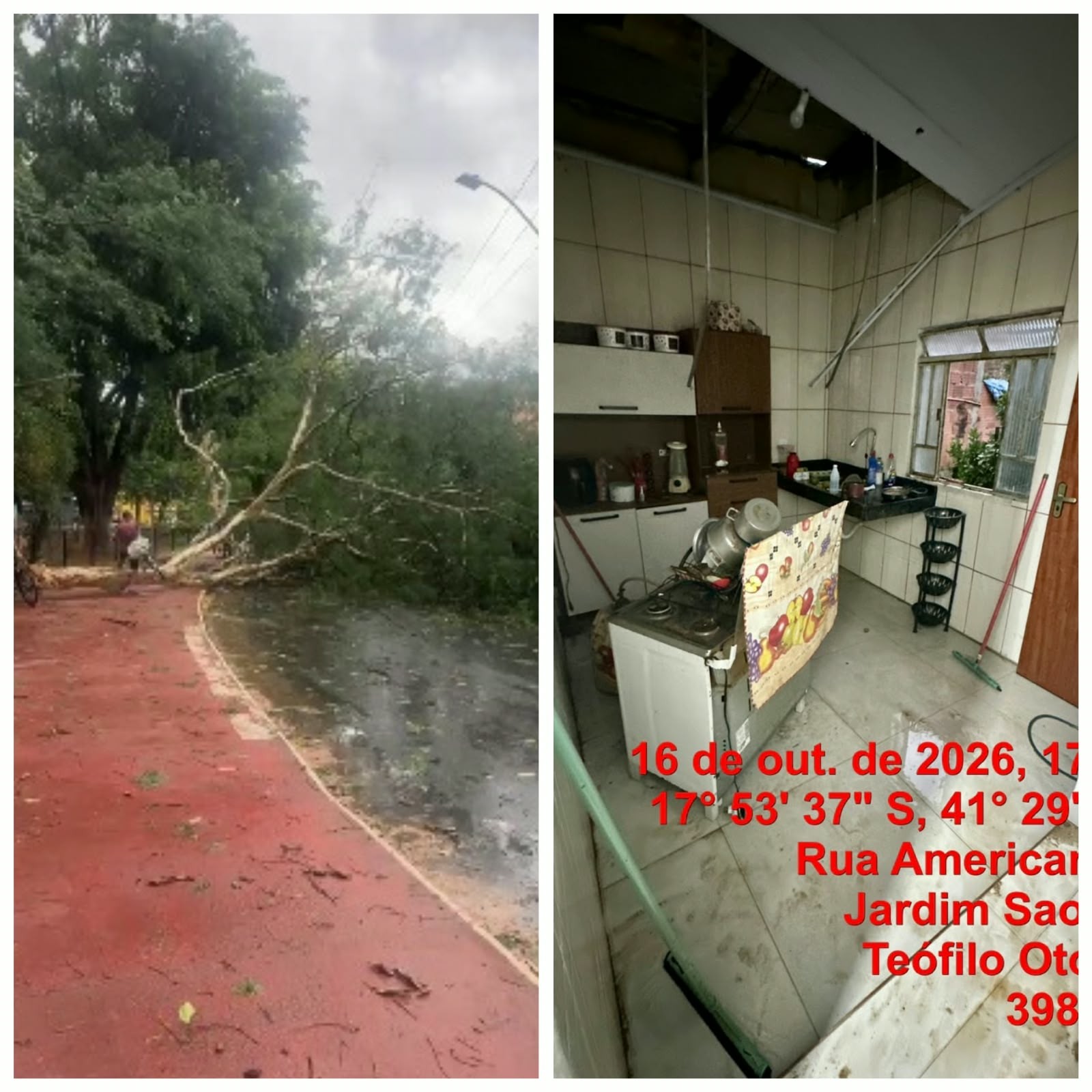 1 de 2 Temporal causou queda de árvore e danificou casas