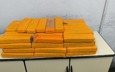 1 de 1 Polícia apreende cerca de 30 kg de maconha escondidos em freezer de adega em São José dos Campos