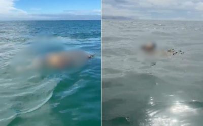 1 de 1 Mulher foi encontrada no mar de Itanhaém (SP)