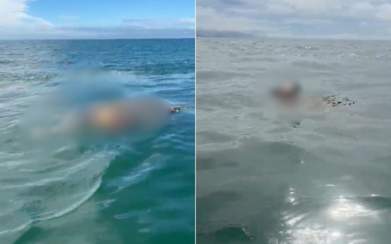 1 de 1 Mulher foi encontrada no mar de Itanhaém (SP)