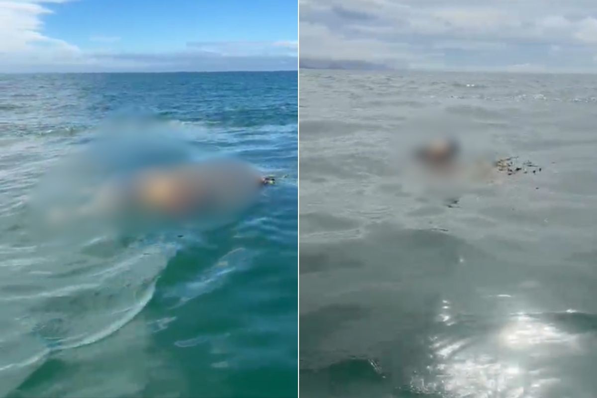 1 de 1 Mulher foi encontrada no mar de Itanhaém (SP)