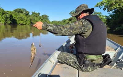 1 de 3 Polícia apreende itens de pesca proibidos e adverte pescadores durante pré-piracema na região de Presidente Prudente (SP)
