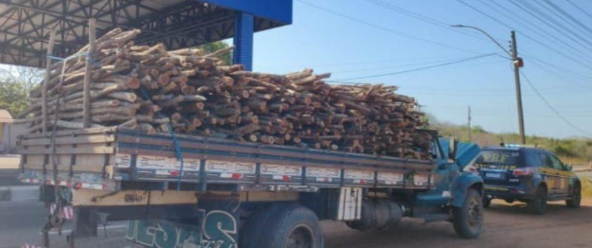 1 de 1 Carga de madeira nativa transportada sem licença é apreendida em Buriti dos Lopes