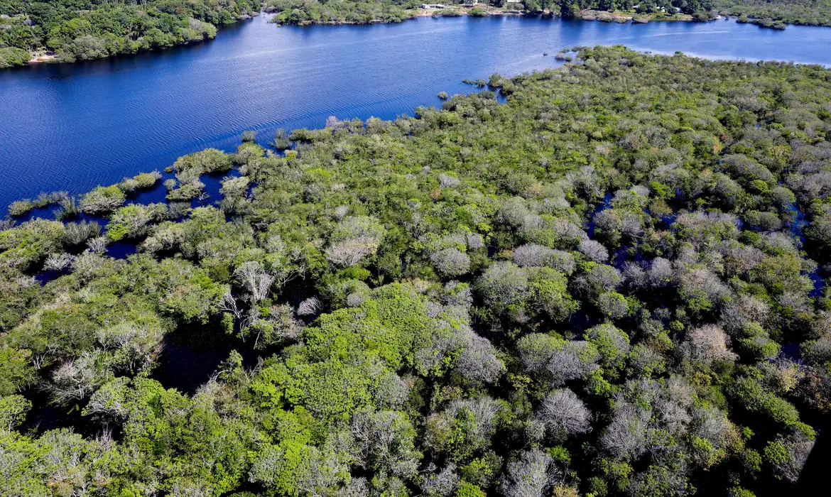 Alemanha diz que reeleição de Lula é avanço para a Amazônia