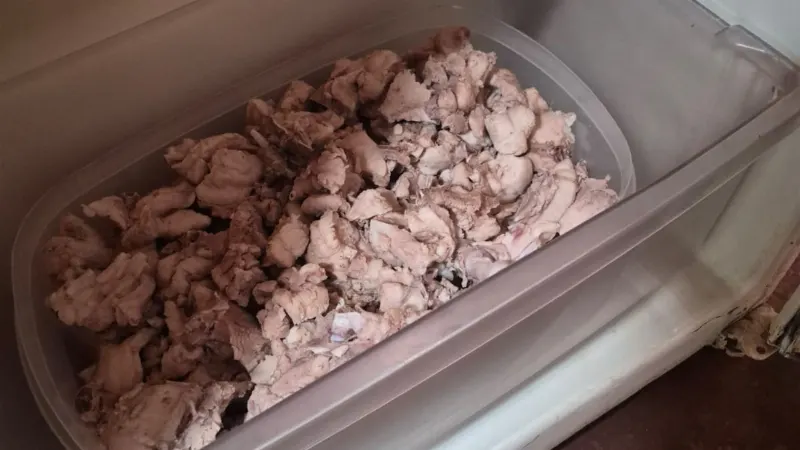 1 de 2 Homem é multado por matar jacaré e armazenar 4,7 kg de carne em geladeira em Mirassolândia (SP)