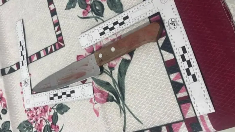 1 de 2 Discussão por causa de redes sociais teria motivado feminicídio em São José; suspeito já foi condenado por homicídio