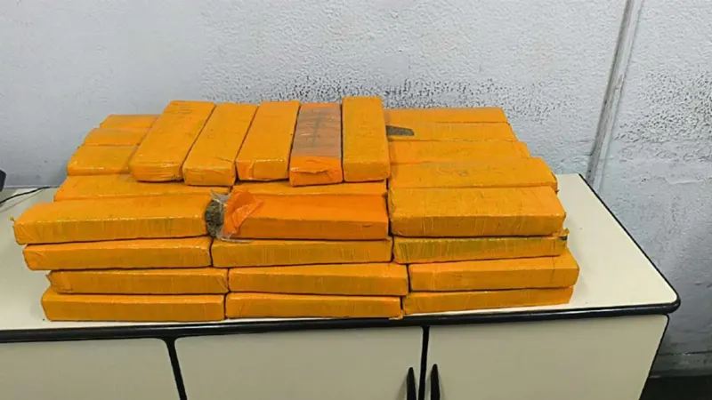 Polícia apreende cerca de 30 kg de maconha escondidos em freezer de adega em São José dos Campos