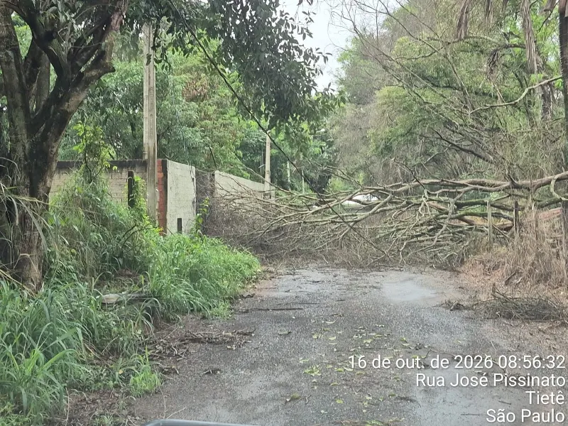 Árvores caíram em bairro de Tietê (SP)