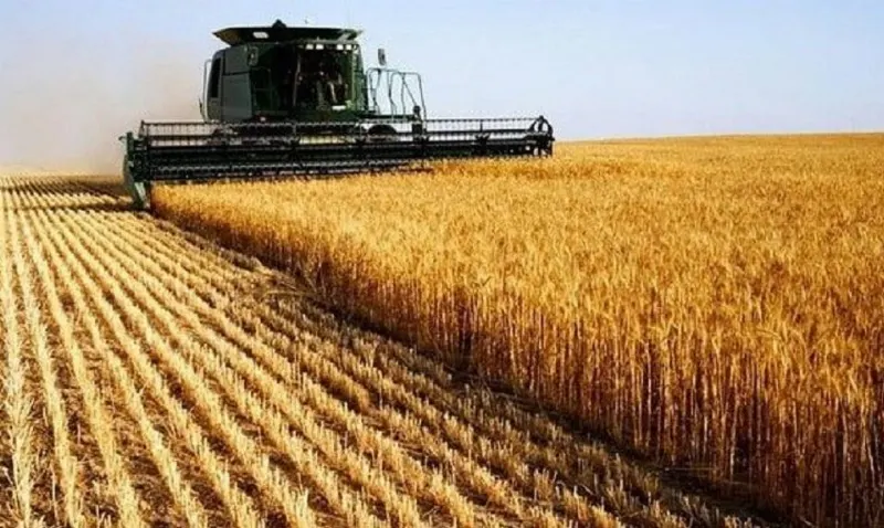 Agronegócio brasileiro cresce 11% em faturamento em 2025
