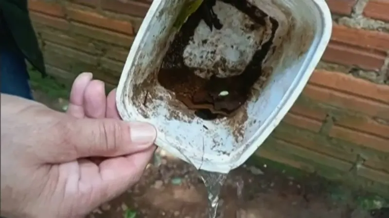 Pote com água e terra